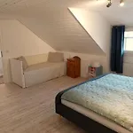 Still Hoern 2